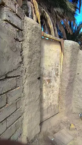 ايام زمان وصوت القران الكريم  #CapCut #تصميم_فيديوهات🎶🎤🎬 #اللهم_صل_على_محمد_وآل_محمد #نامق_مصطفى #لا_اله_الا_الله #القران_الكريم_راحه_نفسية😍🕋 