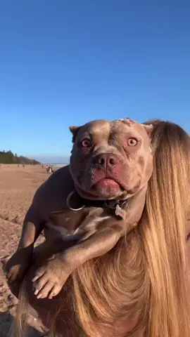 Не ожидала такого подвоха 🙄🥖 БУЛКА 