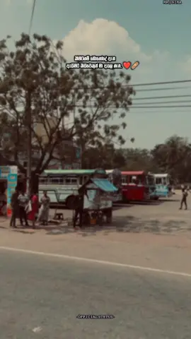 එකක් හරි 𝚟𝚒𝚛𝚊𝚕 යයි කියලා විඩිඔ කියක් නම් දාන්න ඇතිද 😫#nima_status💕💬 #whatsappstatus #bacgroundvidio #foryou #viral #fypシ #1milion #200k #wadansinhala #tiktok 