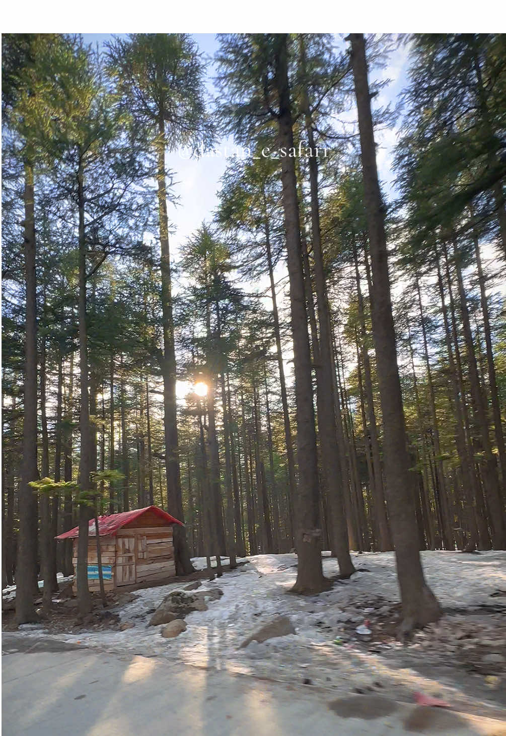 Ushu Forest, Kalam 🌲 #kalam #ushuforest #forest #snow