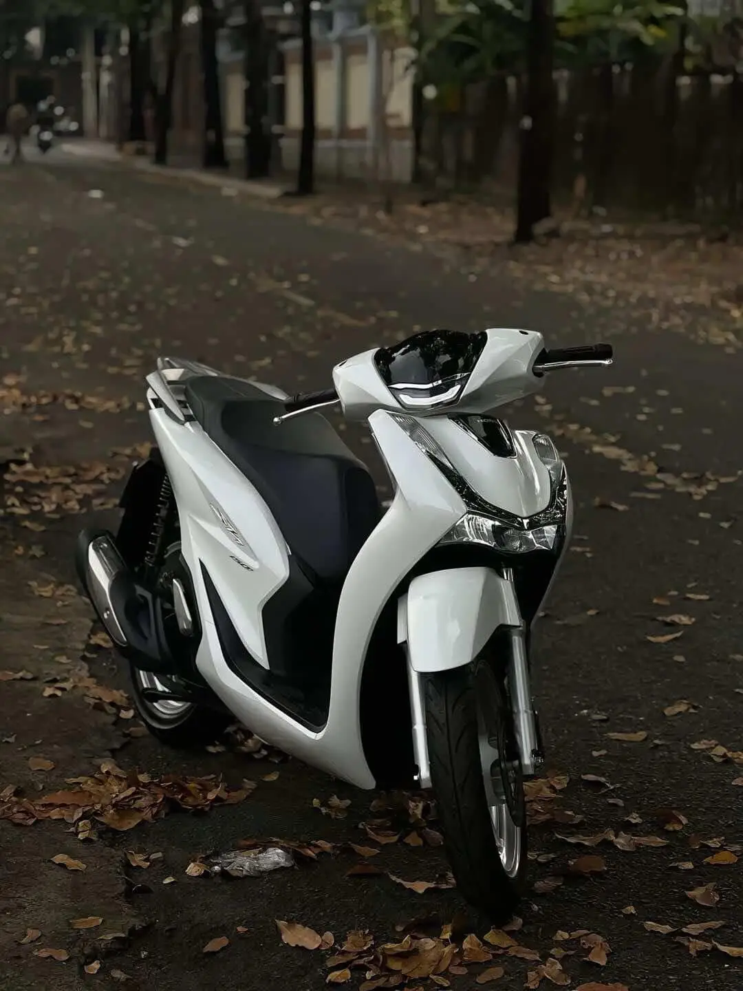 Mê #sh#sh125i#sh2025 