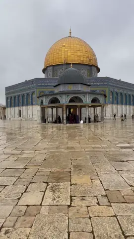 #بيت_المقدس🇵🇸 