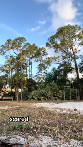 Self taught 👏#cheerleader #cheerleading#flyer#tumbling #tumbler#relatedable #fyppppppppppppppppppppppp #blowthisup 