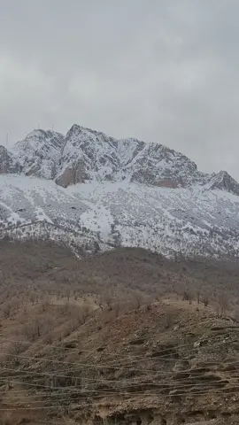 hatam.salih#tiktok #قورئان #tiktok #tiktok #