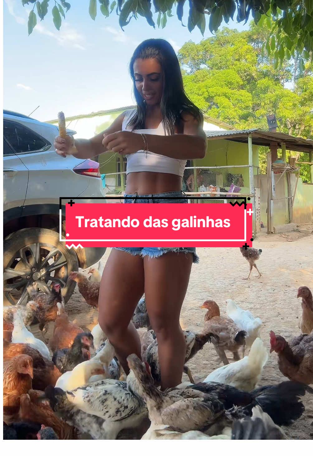 Dia na roça 🥰🐓 #roça #tratandodasgalinha #agrogirl #rural #galinhas #foryoupage #explore #fyp #mineirinha 