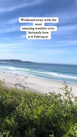 Carmel by the sea is such a magical place #weekendtrip #weekendaway @IHeartToCook 