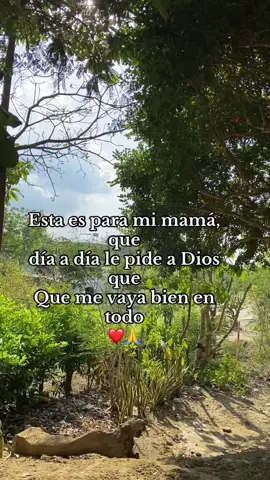 Me Acompaño La Suerte ~ Diomedes Díaz #vallenatosromanticos #vallenatosdelosbuenos #vallenatosyestados #vallenatosdeoro #paratiiiii #sigueme #fyp #viral 