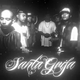 Un Santo Grifo Nunca Muere Santa Grifa 