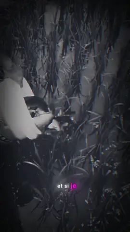 #apprendresurtiktok #agriculture #écologie #pisciculture #riz #poisson #innovation #techniqueagricole #élevage 