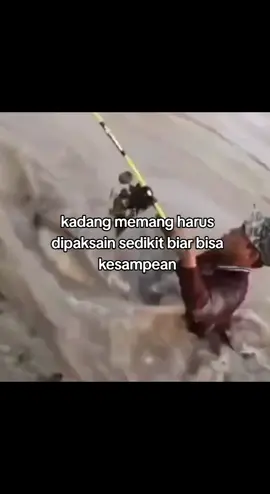 sc vid : @Yusuf Purnama 