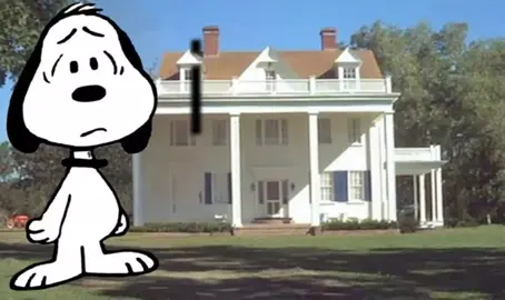 me fortunately #thenotebook #snoopy #romcom #ryangosling #noah #allie #movie #foryou #foru #fyppppppppppppppppppppppp #lyrics #blowthisup #please #lmao #fyp #4u #noahandallie 