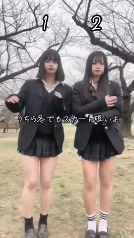 うちら冬でもスカート短いよ #sjk #sjkの素敵な思い出 #sjkの日常 #sjk終了のお知らせ #sjkブランド #sjk終了 #sjkの思い出 #sjkのコーデ #sjkの始まり方 #sjkの放課後 