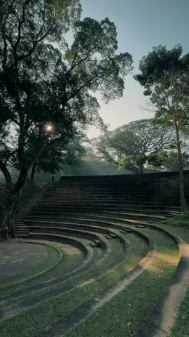 සුන්දර පේරාදෙණිය 🍃 The majical Pere 💫 #fyp #foryoupage #fypシ #foryou #universityofperadeniya #srilanka 
