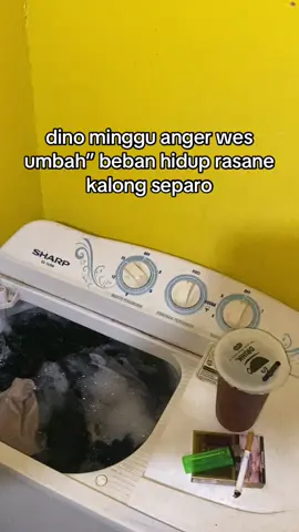 Jan damaii pokok e#mingguhappy #kuli #fyp 