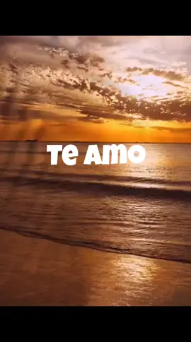 Te Amo #trendingsong #lyrics #fyp #lovesong  #music #georgina #teamo #100dayschallenge 