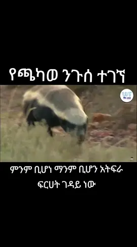 #ምንም ቢሆነ ማንም ቢሆን አትፍራ ፍርሀት ገዳይ ነው#share 