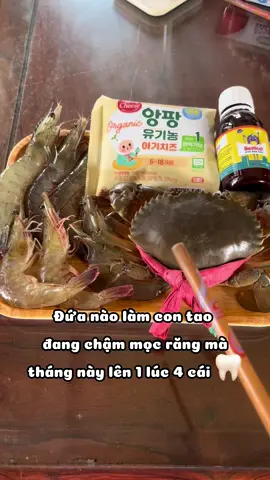 Chính là ẻm canxi Bestical #bestical #canxisinhhoc #andam#andammocrang #mocrang #embedangyeu #xuhuongtiktok #viral 