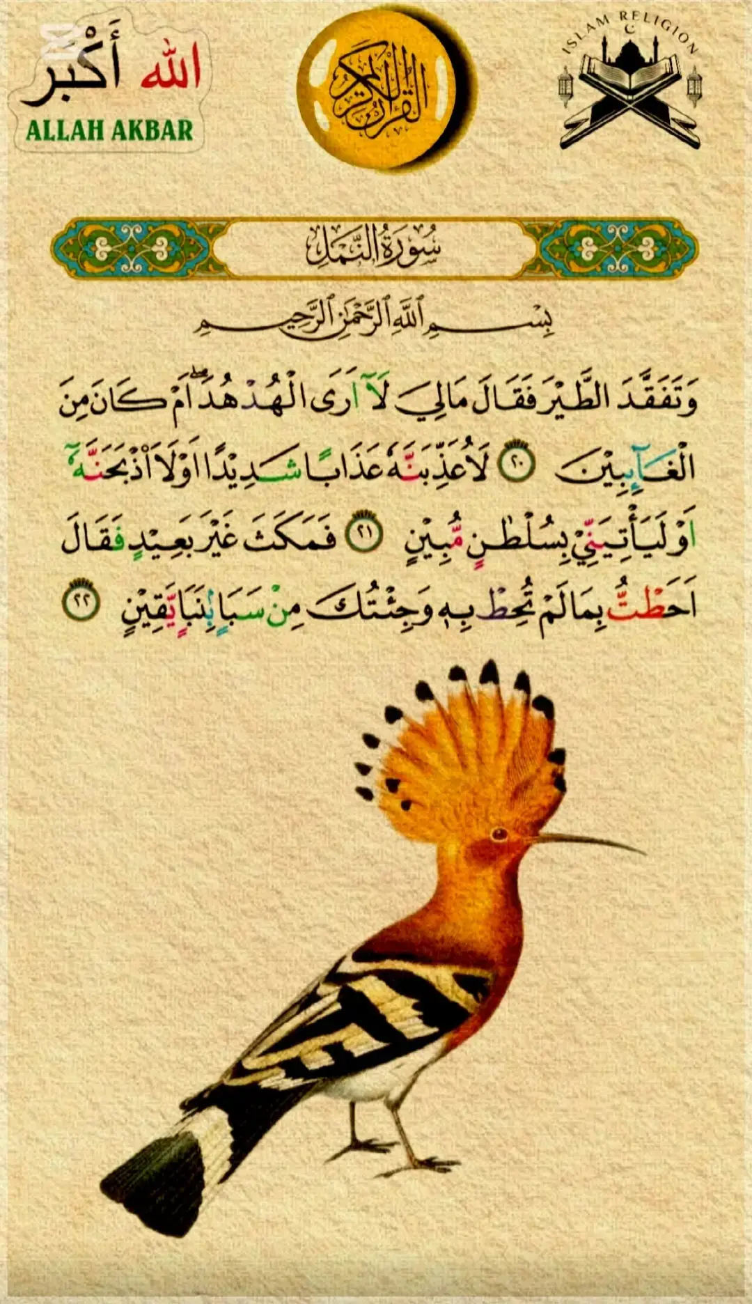 #قران_كريم #القران_الكريم 