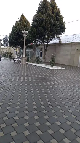 Samux Şəhəri 2 qar 