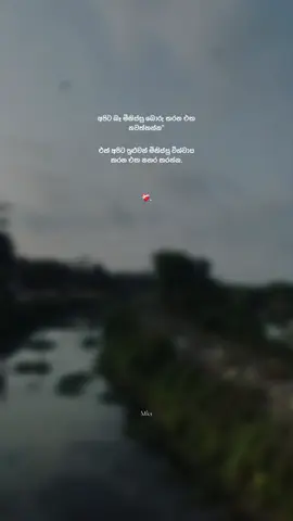 Part 14 Mm ❤️‍🩹 #qoutes #sinhalaquotes #viralvideo #wadansinhala #mathee_quotes #fypシ゚ #වදන්_ස්ටේටස් #foryoupage #trending #everyone 