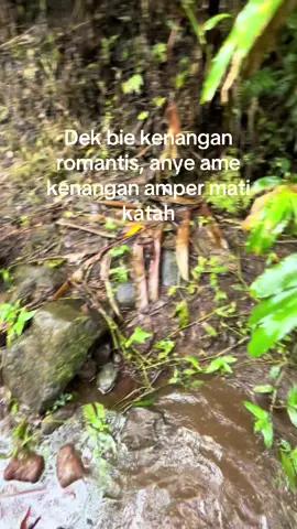 Banyak ame nek itu #pagaralam_salam_jeme_kite #rintisarea #suprabapak #berandafyp #jarai #stdharian 