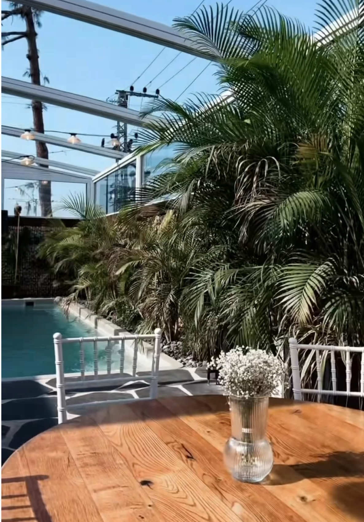 מחפשים מקום ייחודי לאירוע בלתי נשכח? 💃🏻 ✨ מתחם אירועי הבוטיק “הכרם” באשקלון – המקום המושלם לכל אירוע עד 130 איש! בין אם מדובר בחתונה, ברית/ה, בר/בת מצווה או כל אירוע מיוחד, אצלנו תמצאו את האווירה המושלמת ועיצוב קסום שמתאים לכל חלום. פנו אלינו עוד היום וגלו את כל היתרונות של אירוע בוטיק בכרם!⬇️ #אירוע #אולםאירועים #אשקלון 