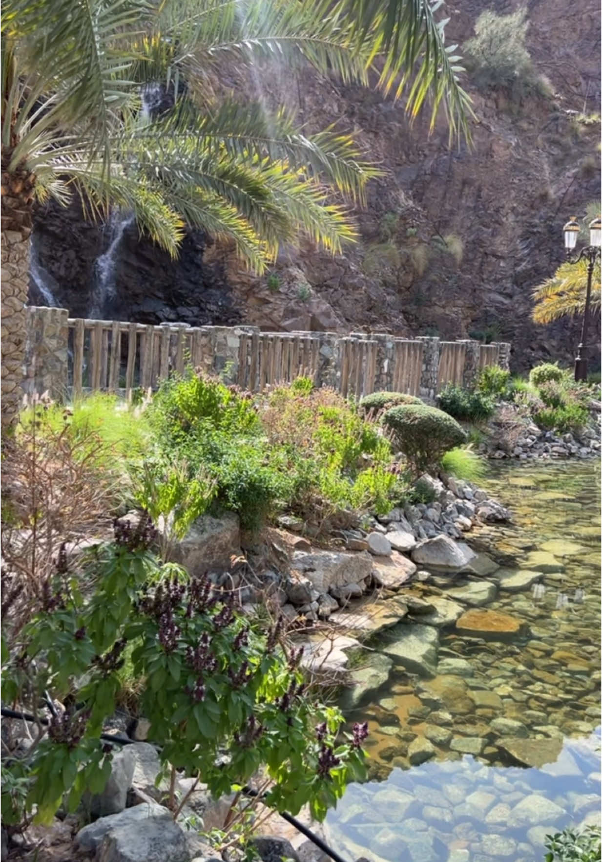 “إذا ودكم بمكان يرد الروح، لازم تزورون حديقة شيص في خورفكان! ⛰️🌿😍 أجواء تهبل، طبيعة تخطف القلب، ومكان مثالي للاسترخاء والمشي وسط الجبال! لا تفوتون هالتجربة الحلوة 😉🔥 #خورفكان #حديقة_شيص #وناسة_وطبيعة” #explore #manarbashor #saudi #girl 
