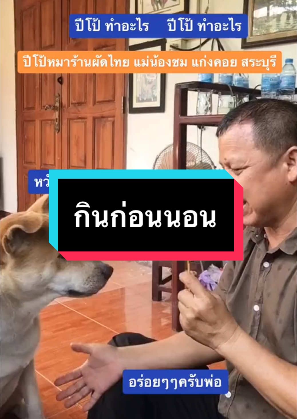 #ปีโป้ #หมาร้านผัดไทยแม่น้องชม #แก่งคอยสระบุรี #ดาวติ้กตอกแก่งคอย #ดาวติ้กตอก #หมาดังในติ๊กต๊อก #หมาดังในtiktok #เทรนด์วันนี้ #ชอบๆ #ลูกรักของพ่อ #ชอบแบบนี้ #อร่อย #ของโปรด 