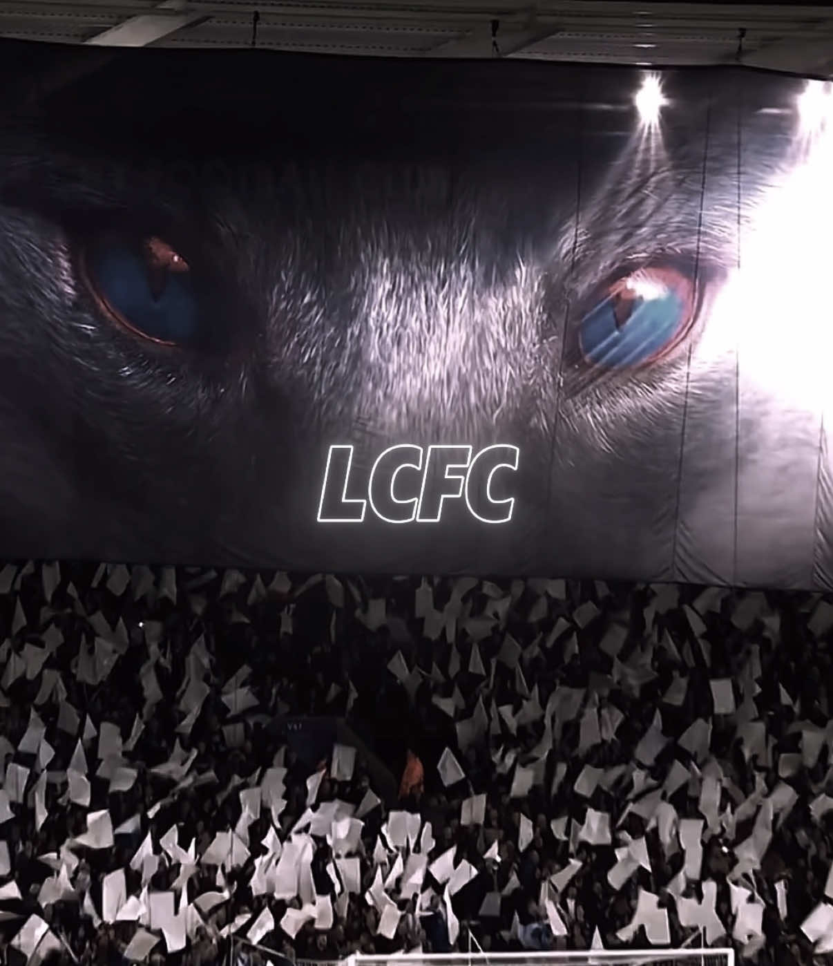 LCFC 🦊 || #leicestercity #lcfc #footballedit #fyp #leicestercityfc #PremierLeague 