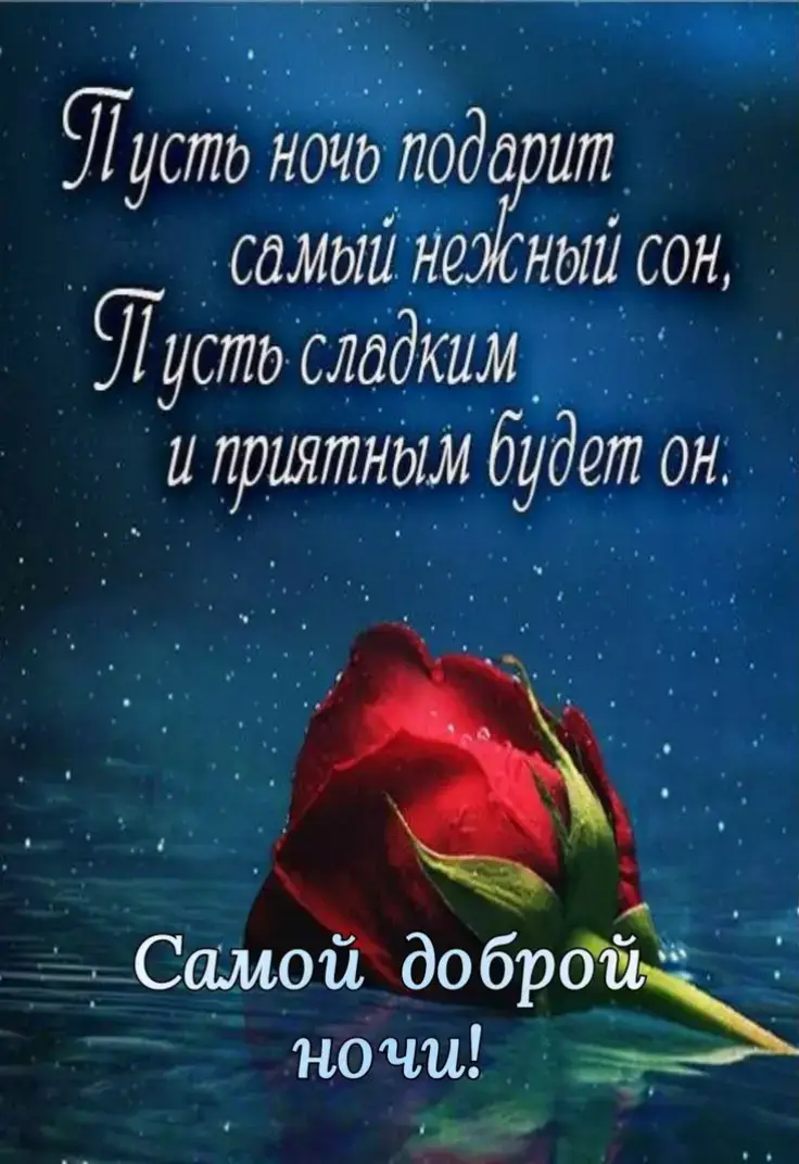 💕🌟🌛✨🌺🌛