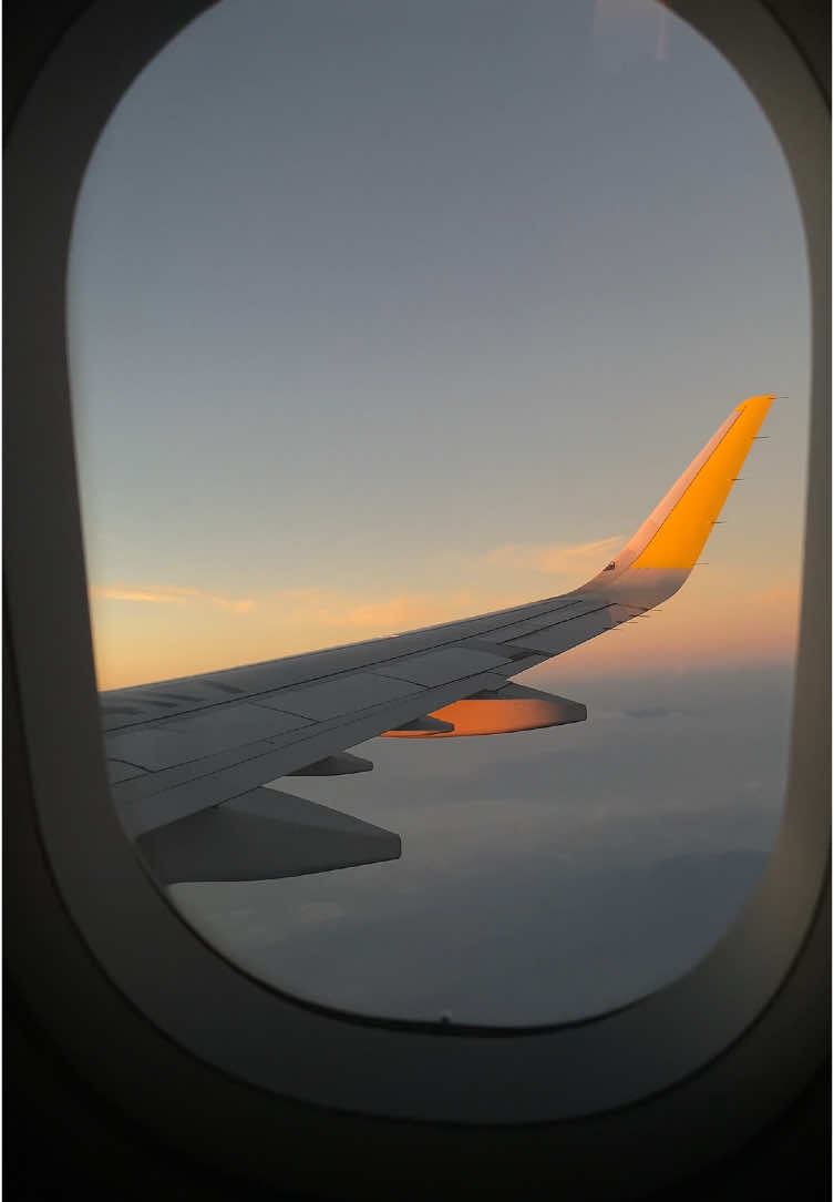 2025 is going to be your passport year >> #airport #passport #airplane #flights #traveltok #traveltiktok #airportvibes #travellife #amflights #sunriseflight #airportfeeling #nightflight #plane #capcut #boarding #aviation #flight #travel #foryou #fyp #foryoupage 