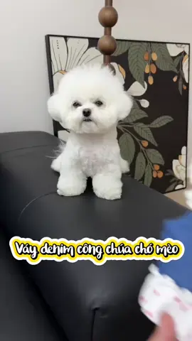 Váy yêu cho con gái rượu #cute #cutedog #puppy #puppydog #doglover #animals #fyp #doglover #dog 