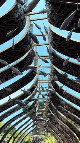 📍Marine safari bali🐬🐠🦞 Jangan lewatkan kesempatan wekeend kalian✨ #marinesafaribali #balisafariandmarinepark #CapCut #fyp #fypviralbali #holiday #wekeend #wisatabali 