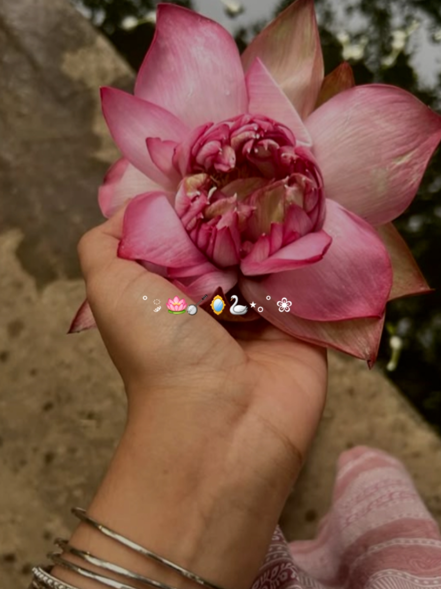 desi aesthetics>> . . . /all pictures are taken from Pinterest, credits are due to the owners!/ . . . Tags ⋆˚𐙚⋆˚ #fyp #foryoupage #foru #aesthetic #treanding #pinterest #pinterestaesthetic #desi #desiaesthetic #lehenga #girl #desifashion #relatable #video 