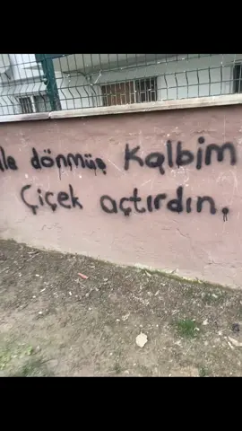 Sonra o çiceği ellerinle koparttın @R🇹🇷 #keşfetteyizzz #keşfet #fypppppppppppppp #fypシ゚ #öneçıkar #aşk #öneçıkar #aşk #duvaryazıları #park 