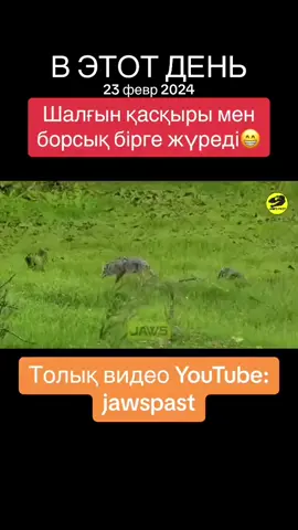 #ВэтотДень 