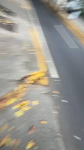 Día de polas con modelos divinas  🤍✨🤍✨ Trabajando en un proyecto muy bonito para ofrecerles un day polas #polasday #polas #model #caracas #fyp #camara #modelo #cuento #comedy #day #vlogday 