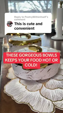 Replying to @PoetryWithinItself #foryoupage #fyp #cooking #nomicrowave #n2witchin #chafingdish #thermos #creatorsearchinsights #foryoupage #TikTokShop #tiktokshopcreatorfinds #momlife #mealideas #trending #viralvideo 