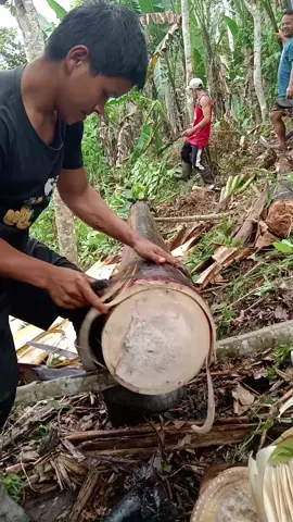 kusog ni kuyaw#bukidlife #farmer #ABACA 