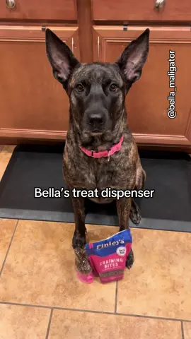 Bella’s treat dispenser #dollartreefind #treatdispenser #trainingtreats #turkeytreats