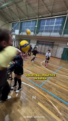 This is how the volleyball coach in Japan’s Tominohara team trains the kids to receive the ball. 🇯🇵🏐💥 via: IG @team_tominohara 📽️Video by: Gabe Jung 🤳Click our linkinbio to sign up to our daily newsletter. 📰Follow us for the latest Asian News @NextShark #news #reel #japan #volleyball #practice #training #tominohara