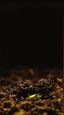 #ستوريات_انستا #متحدث #إيجابي # #كلمات_من_القلب #للعقول_الراقية #🖤 #السعادة_لقلوبكم🌹 #التفائل #الطموح 