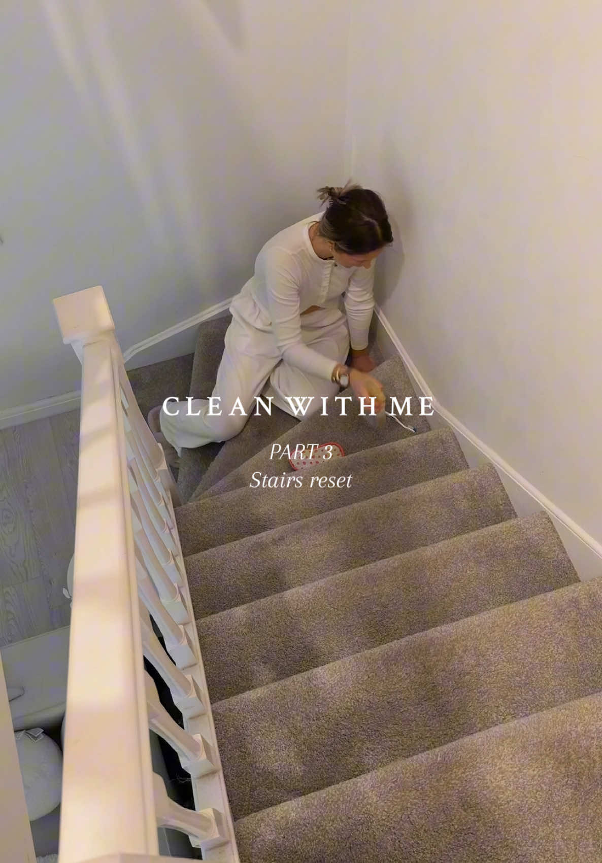All that fur 👀#stairs #reset #cleaning #Home #homeinterior #homeinspo 