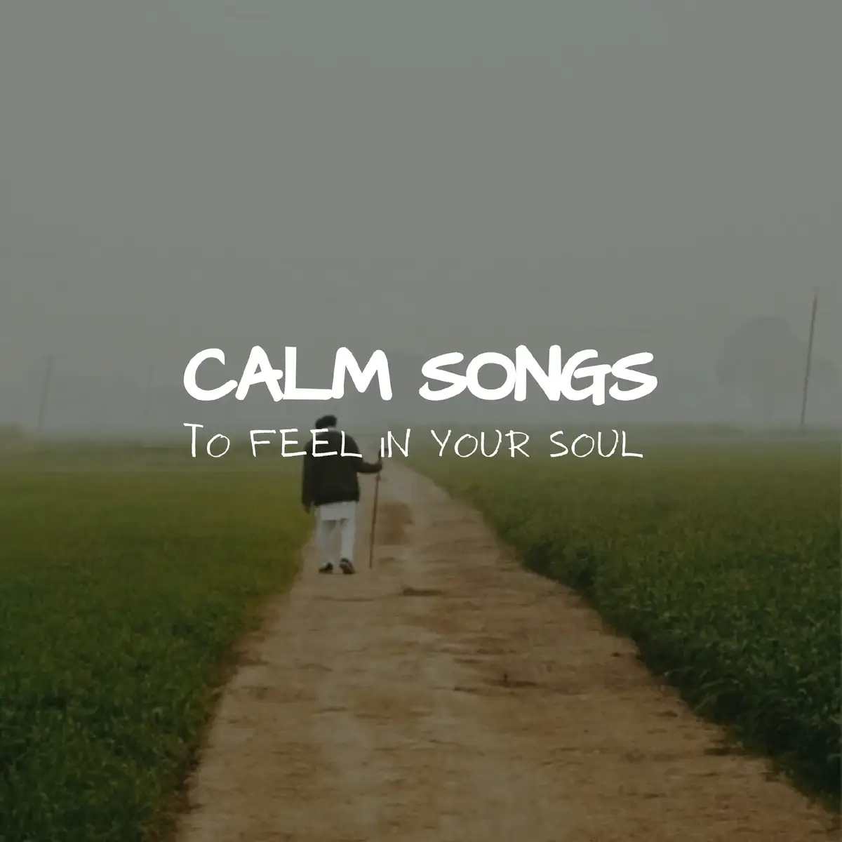 There are things that we can have, but can't keep if they say #linkinpark #onemorelight #fyp #song #playlist 