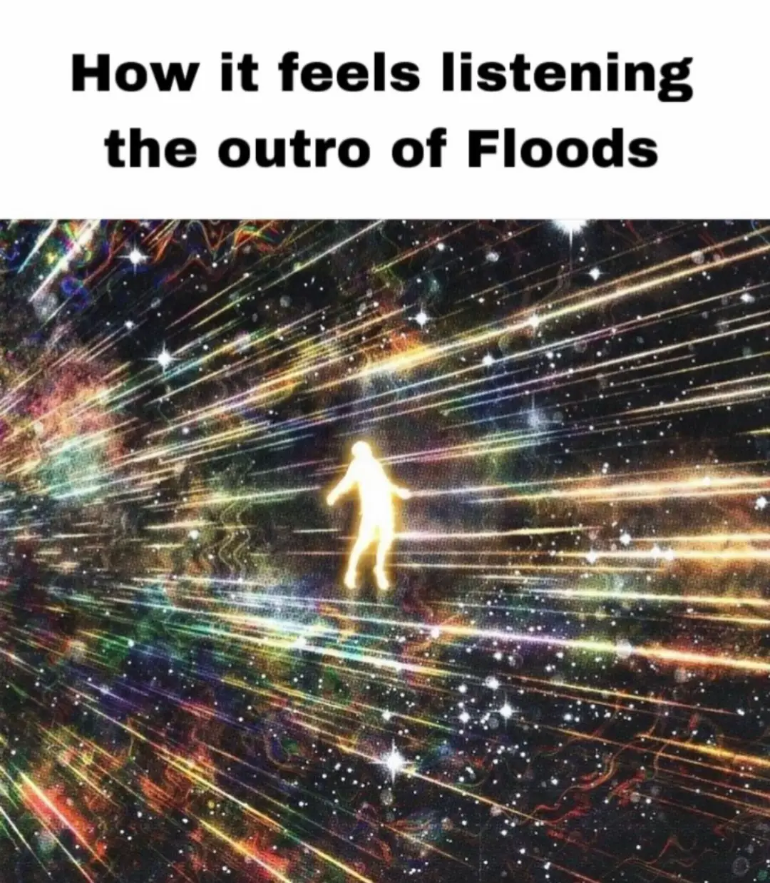 Floods #fyp #foryou #foryoupage #panthera #music #musictok 