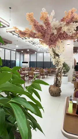 #مطعم_الطبيخ #الانبار #الرمادي #مالي_خلق_احط_هاشتاقات #الشعب_الصيني_ماله_حل😂😂 #الرمادي_شموخ_عزالانبار #الفلوجة_الانبار #الطبيخ @تجهيزات الطبيخ الرمادي #اكسبلور 