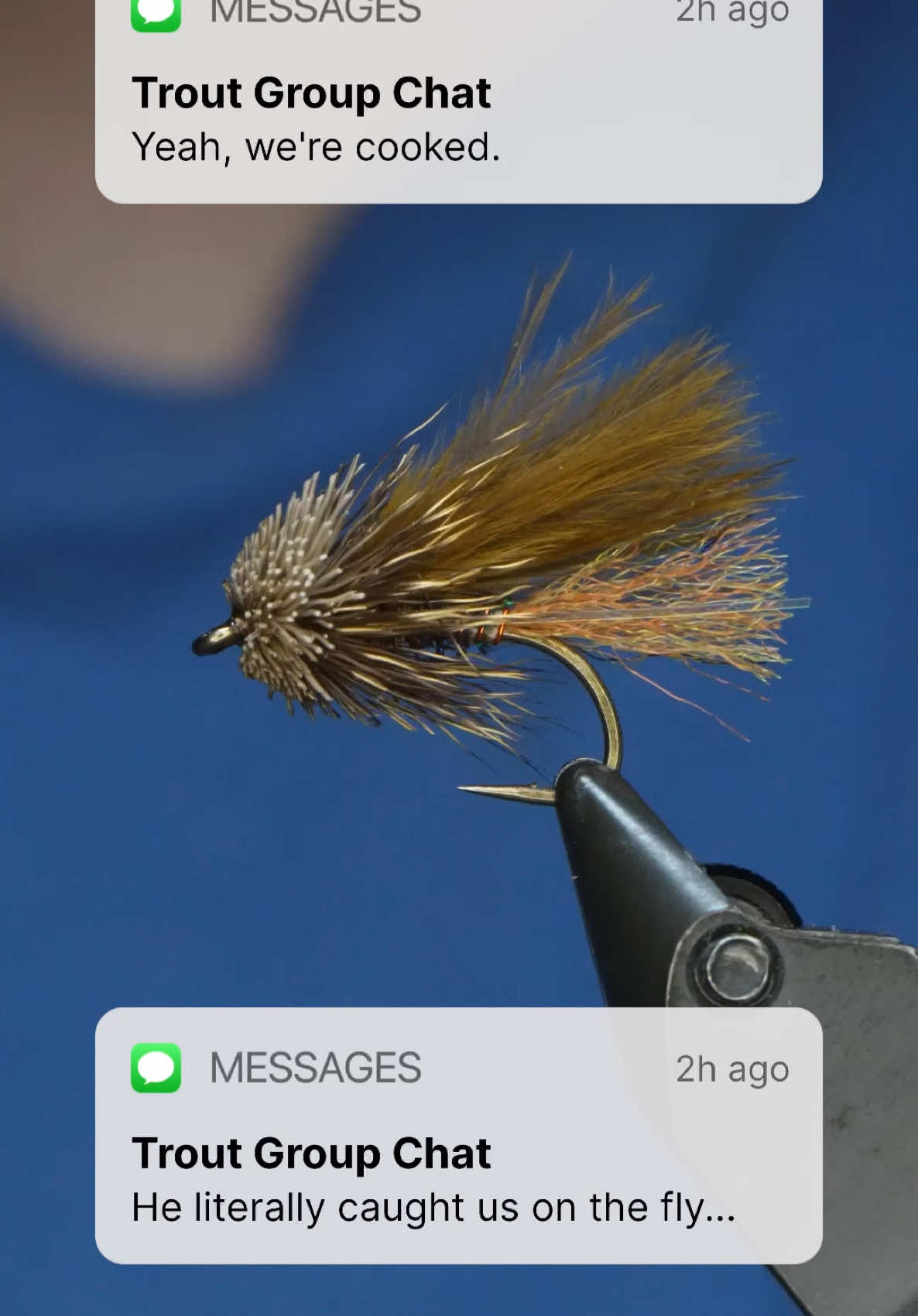 😮‍💨😮‍💨  #TheFlySmith  #flytying #magpiematerials #magpieturkeybiots #magpiefinebeaverdubbing #whitingfarms #naturesspiritflytying #lidrig #fly #flytyingjunkie #flytyingtutorial #flytyingaddict #flytok #satisfying #flytyingnation #fyp #harelinedubbin  #fishing #flyfishing #pescamosca #Upavon #fullingmill #bespoke
