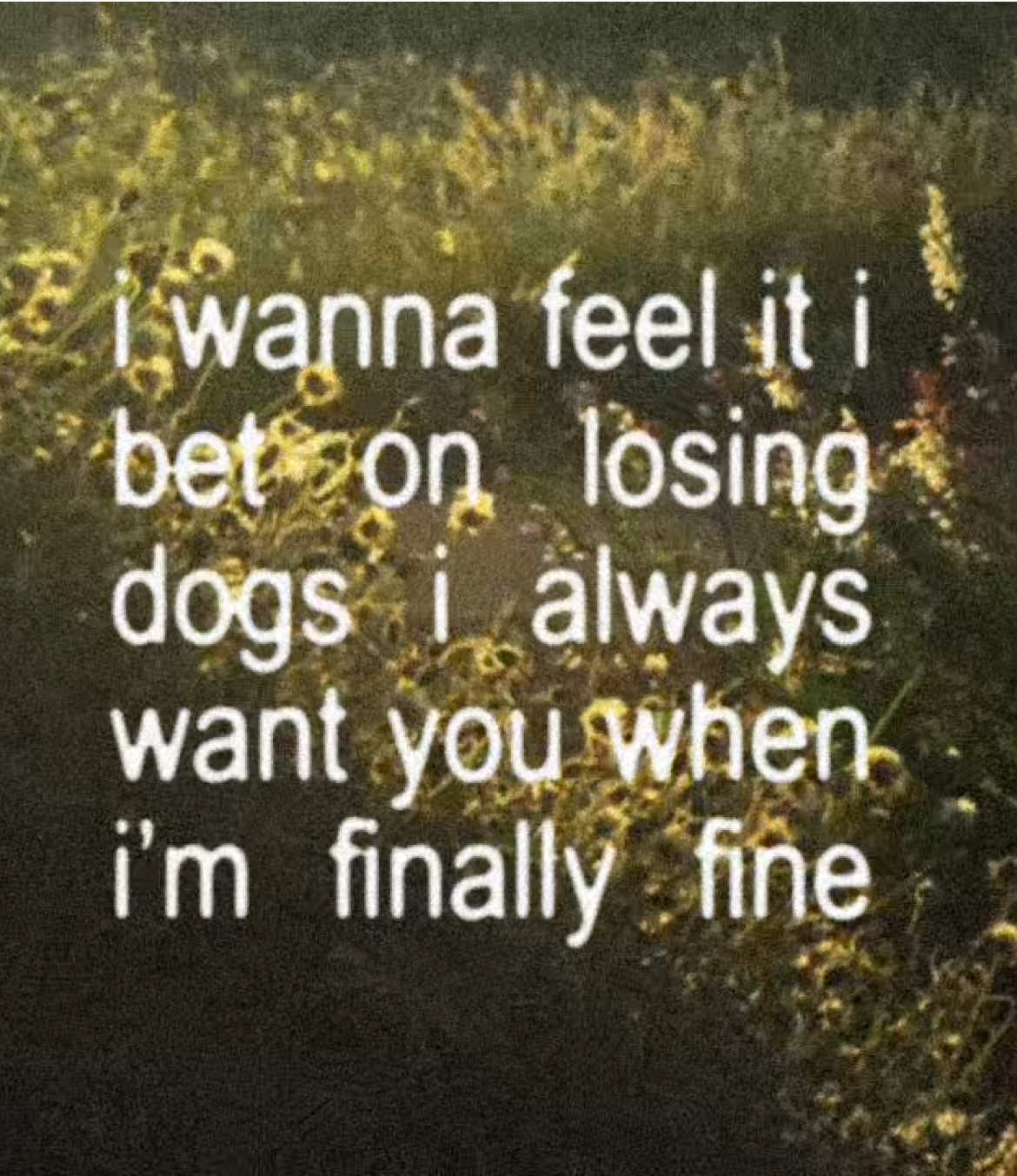 i bet on losing dogs - mitski  #ibetonlosingdogs #mitski #song #corecore #lycris #fouryou 