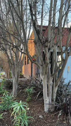 Not even bothered #squirreltok  #squirrelsoftiktok #kitkat #snackbreak #fyp #funnyvideos😂 