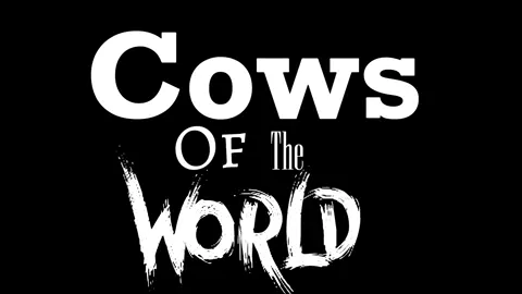 Cows #education #cows 